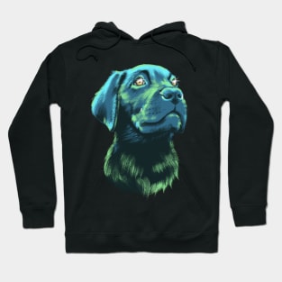 Starry Eyed Labrador Puppy Hoodie